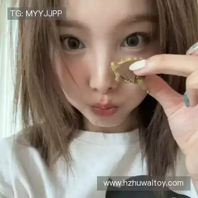 井舟红